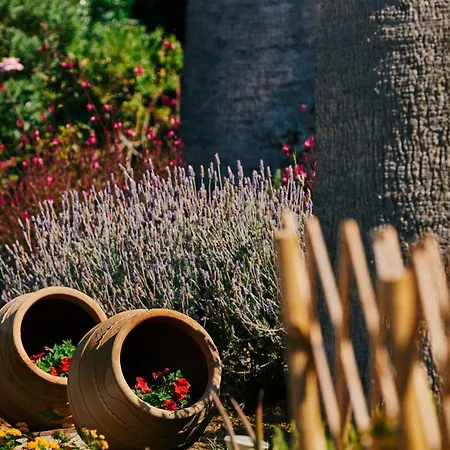 Kalergis 4* Naxos City