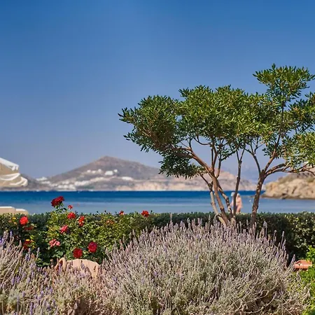 卡勒吉斯公寓酒店 4*