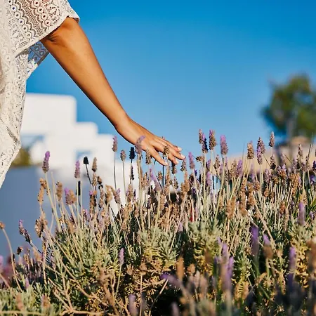 Kalergis Hotel apartamentowy Naxos City