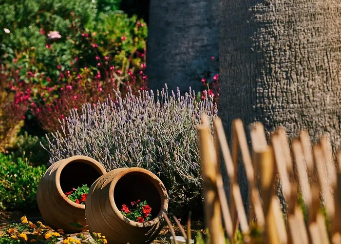 Kalergis 4* Naxos City