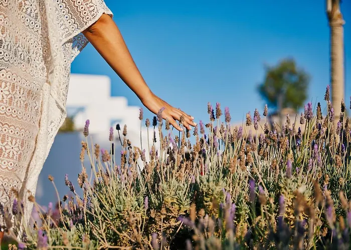 Kalergis Aparthotel Naxos City